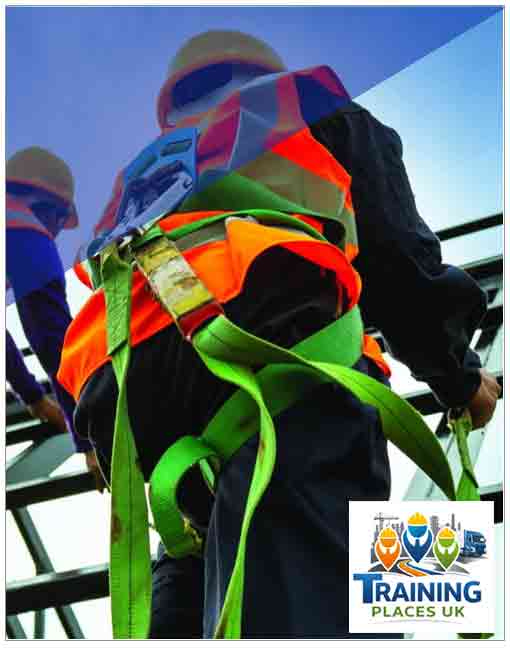 Harness and Fall Arrest N723