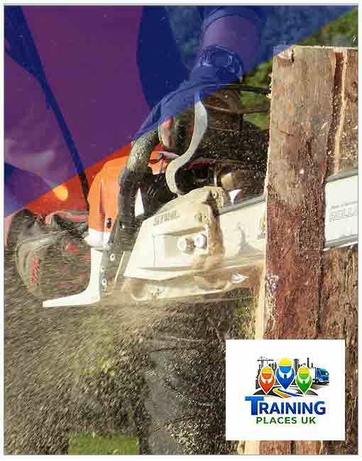 Chainsaw & Maintenance & Cross Cutting N602