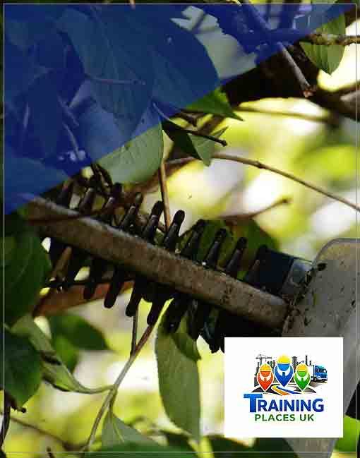 Hand Held Hedge Trimmer N610