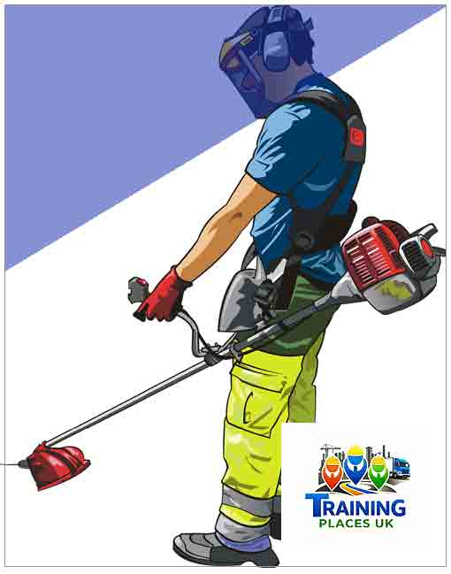 Strimmer / Brushcutter N605